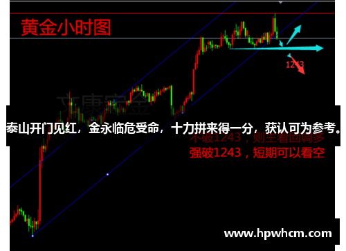 泰山开门见红，金永临危受命，十力拼来得一分，获认可为参考。