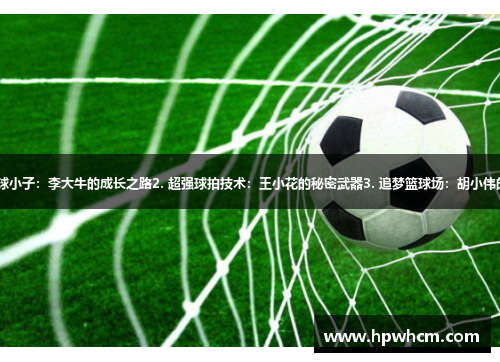 1. 快乐足球小子：李大牛的成长之路2. 超强球拍技术：王小花的秘密武器3. 追梦篮球场：胡小伟的突破之路